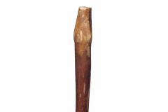 EBP_NaturalDogCo-073