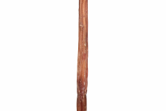 EBP_NaturalDogCo-078
